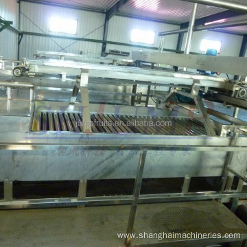 Industrial fruit and vegetable washing and drying machine
